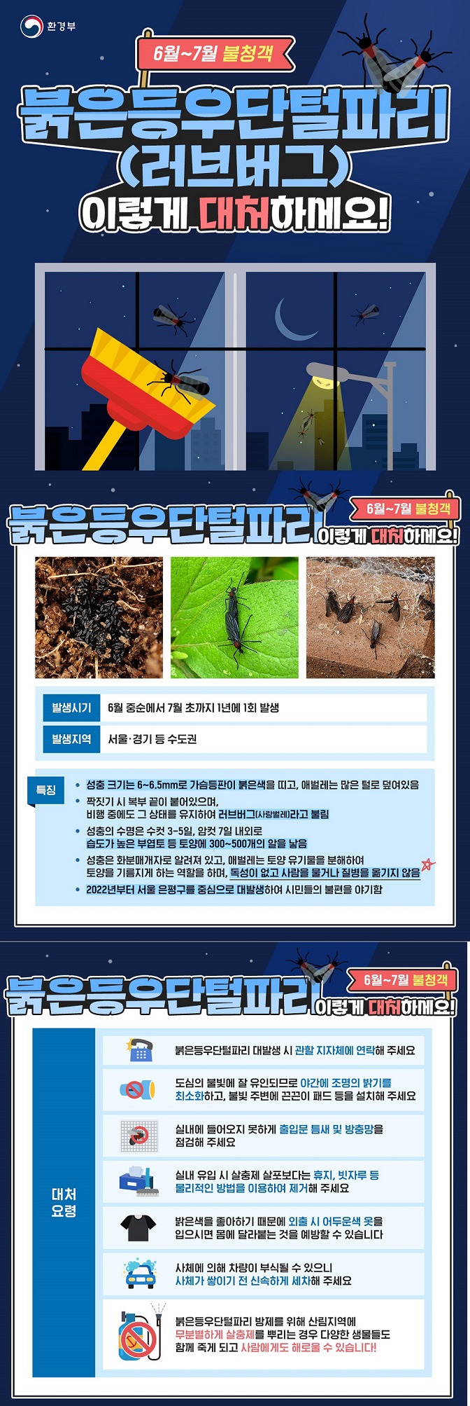 환경부 6월~7월 불청객 붉은등우단털파리(러브버그) 이렇게 대처하세요!  6월~7월 불청객 붉은등우단털파리 이렇게 대처하세요! 발생시기 6월 중순에서 7월 초까지 1년에 1회 발생 발생지역 서울&middot;경기 등 수도권 특징 성충 크기는 6~6.5mm로 가슴등판이 붉은색을 띠고, 애벌레는 많은 털로 덮여있음 짝짓기 시 복부 끝이 붙어있으며, 비행 중에도 그 상태를 유지하여 러브버그(사랑벌레)라고 불림 성충의 수명은 수컷 3-5일, 암컷 7일 내외로 습도가 높은 부엽토 등 토양에 300~500개의 알을 낳음 성충은 화분매개자로 알려져 있고, 애벌레는 토양 유기물을 분해하여 토양을 기름지게 하는 역할을 하며, 독성이 없고 사람을 물거나 질병을 옮기지 않음 2022년부터 서울 은평구를 중심으로 대발생하여 시민들의 불편을 야기함  6월~7월 불청객 붉은등우단털파리 이렇게 대처하세요! 대처 요령 붉은등우털파리 대발생 시 관할 지자체에 연락해 주세요 도심의 불빛에 잘 유인되므로 야간에 조명의 밝기를 최소화하고, 불빛 주변에 끈끈이 패드 등을 설치해 주세요 실내에 들어오지 못하게 출입문 틈새 및 방충망을 점검해 주세요 실내 유입 시 살충제 살포보다는 휴지, 빗자루 등 물리적인 방법을 이용하여 제거해 주세요 밝은색을 좋아하기 때문에 외출 시 어두운색 옷을 입으시면 몸에 달라붙는 것을 예방할 수 있습니다 사체에 의해 차량이 부식될 수 있으니 사체가 쌓이기 전 신속하게 세차해 주세요 붉은등우단털파리 방제를 위해 산림지역에 무분별하게 살충제를 뿌리는 경우 다양한 생물들도 함께 죽게 되고 사람에게도 해로울 수 있습니다!