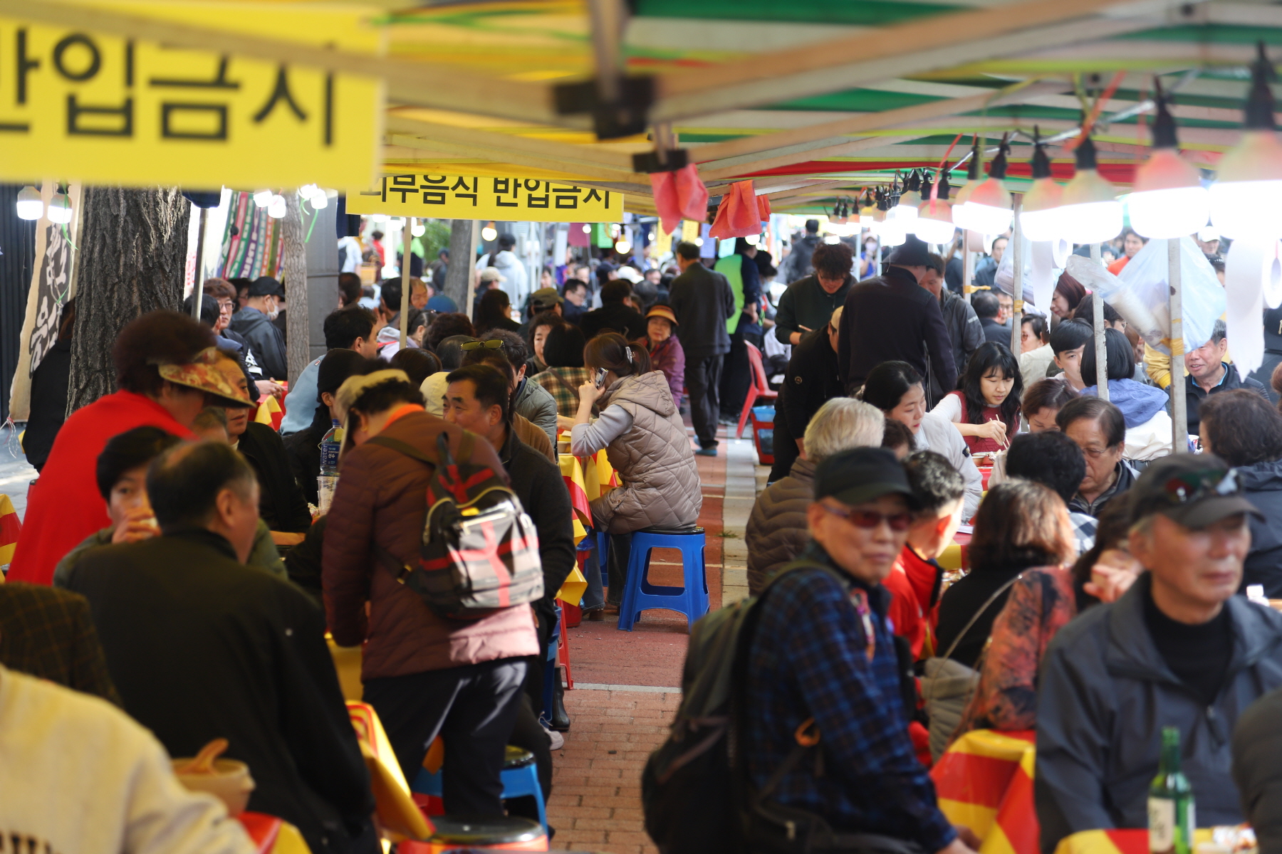 송천동 큰나무길 은행나무 축제