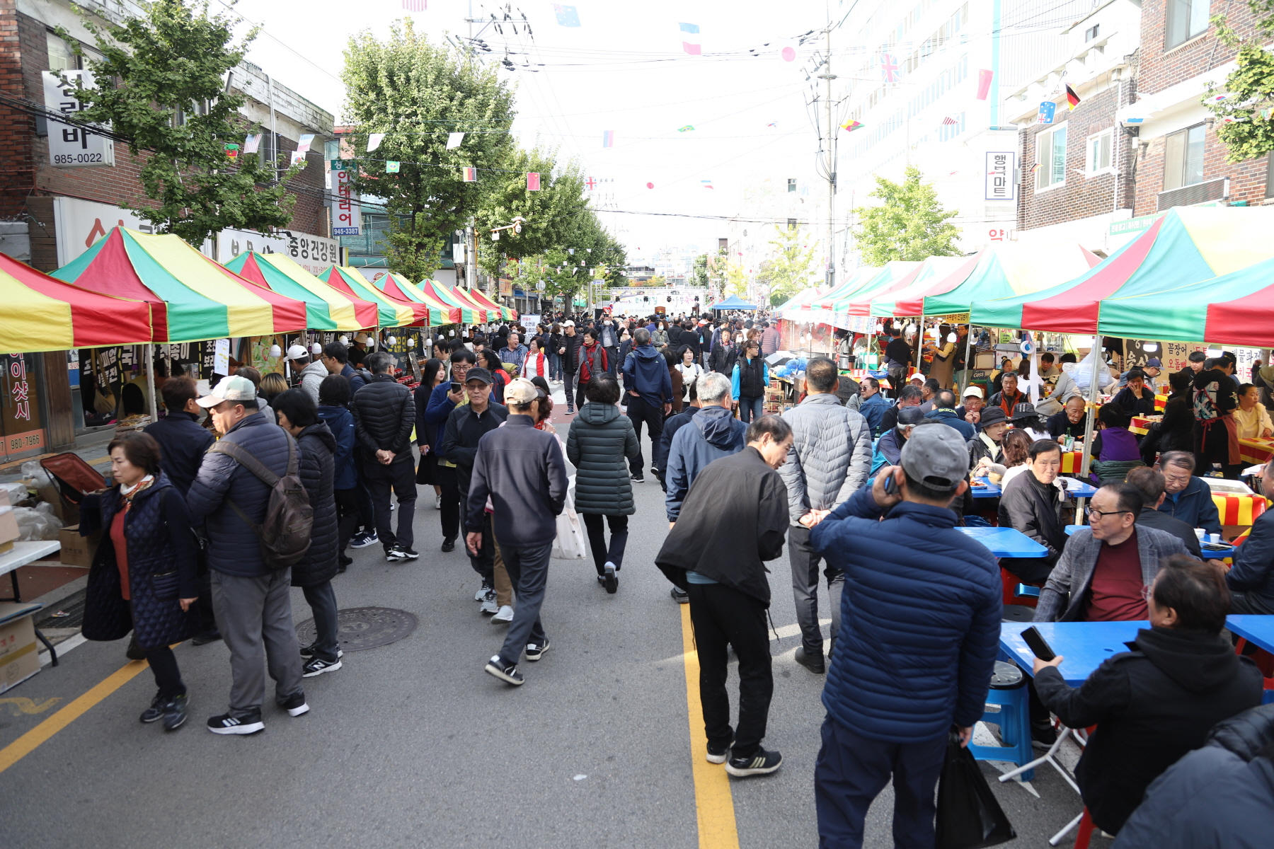 송천동 큰나무길 은행나무 축제