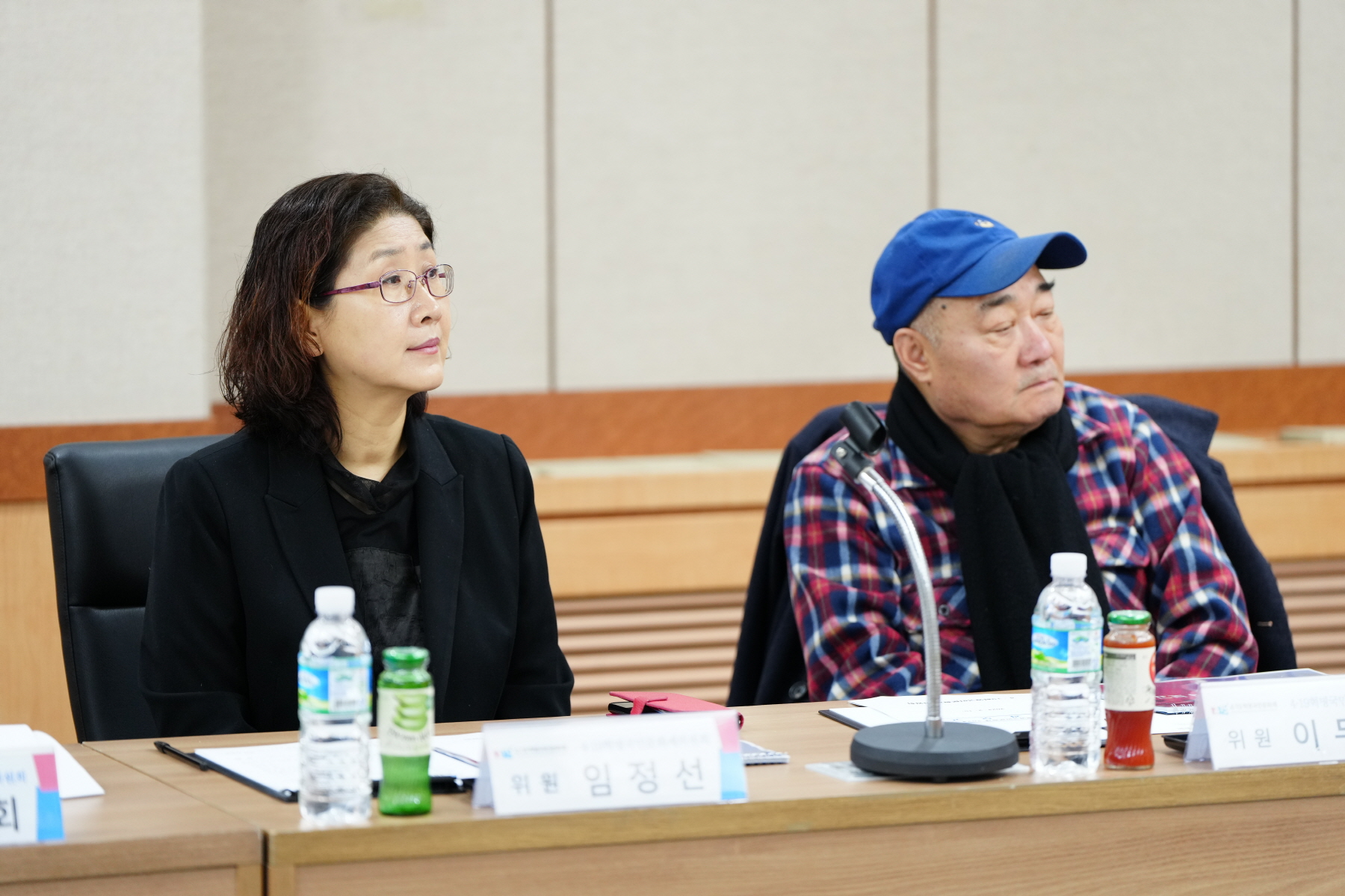 4.19 혁명 국민문화제 출범식
