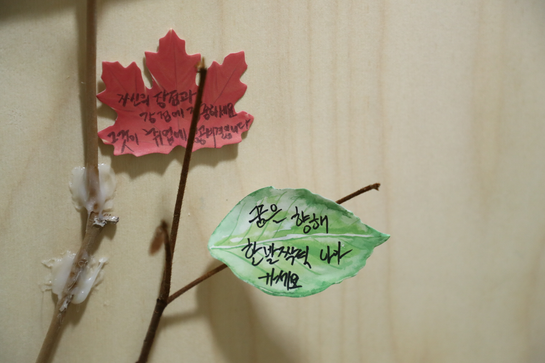 강북커리어플러스센터 개소식