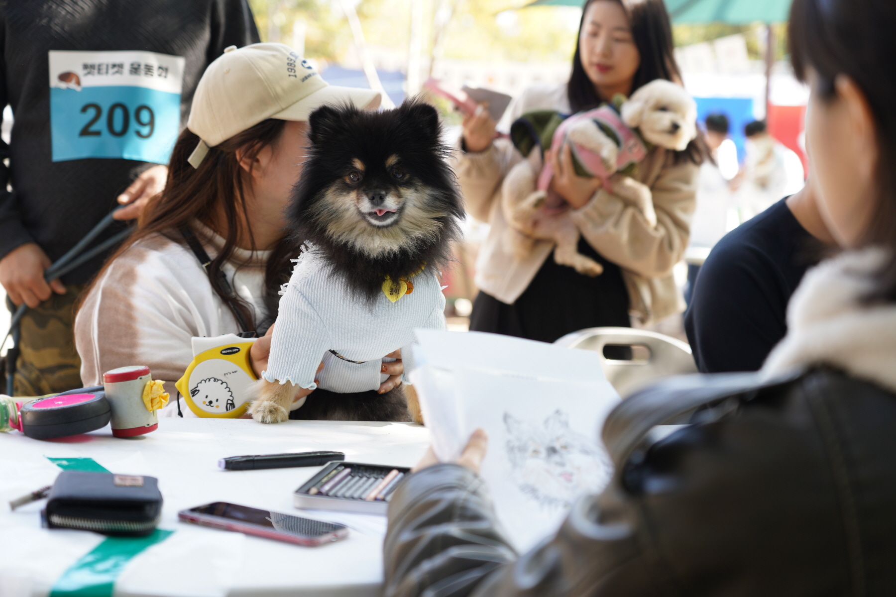 반려견놀이터 명랑운동회