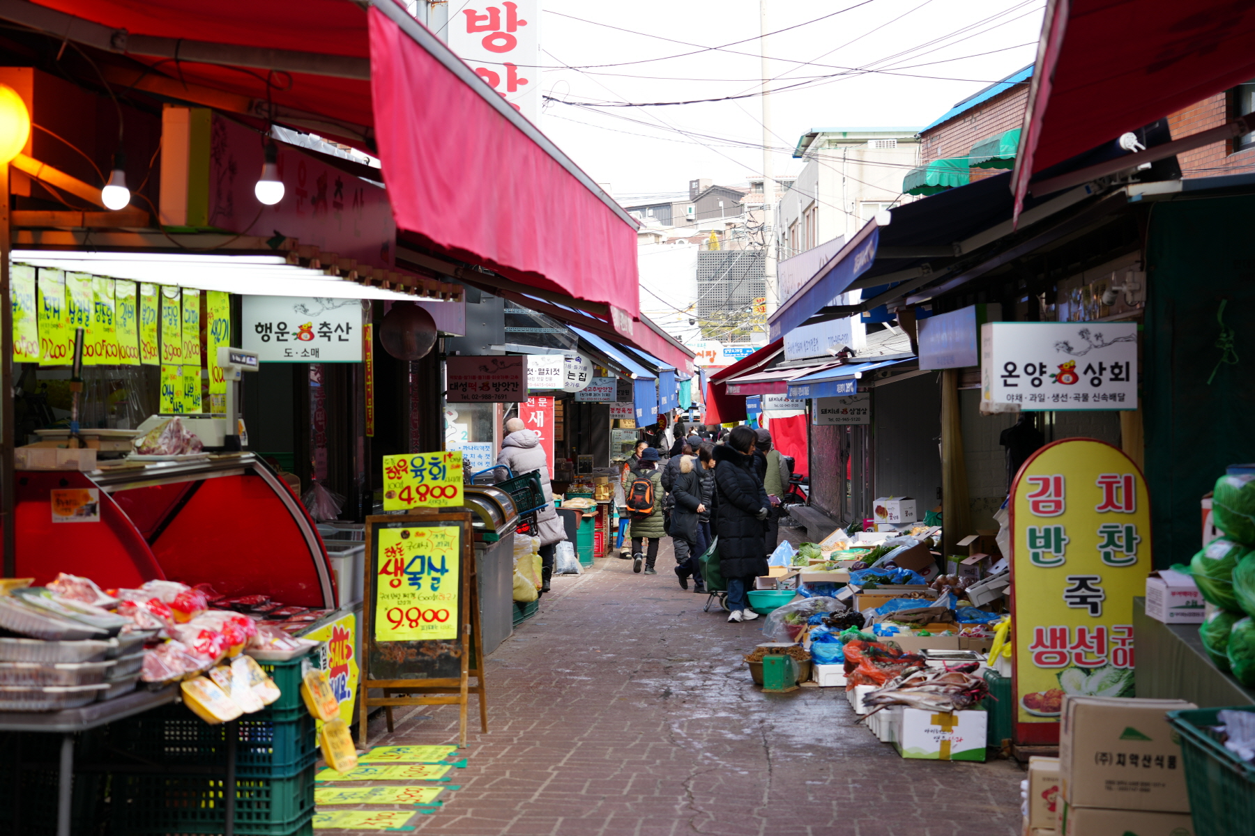 2024년 설 명절 구청장 전통시장 순회 (삼양시장, 솔샘시장)