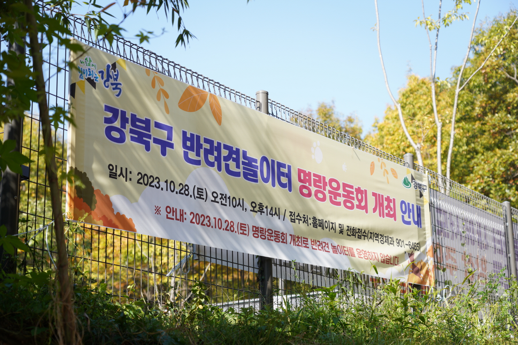 반려견놀이터 명랑운동회