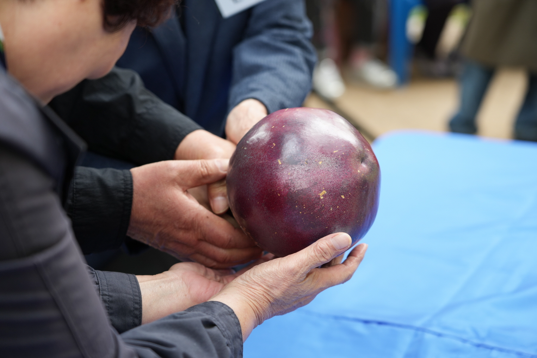 삼각산 도당제