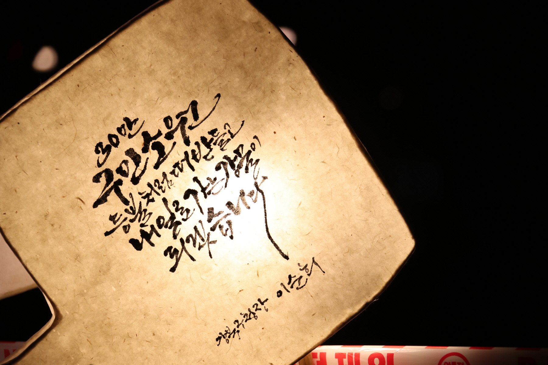 우이천 꿈꾸는 물고기 점등식