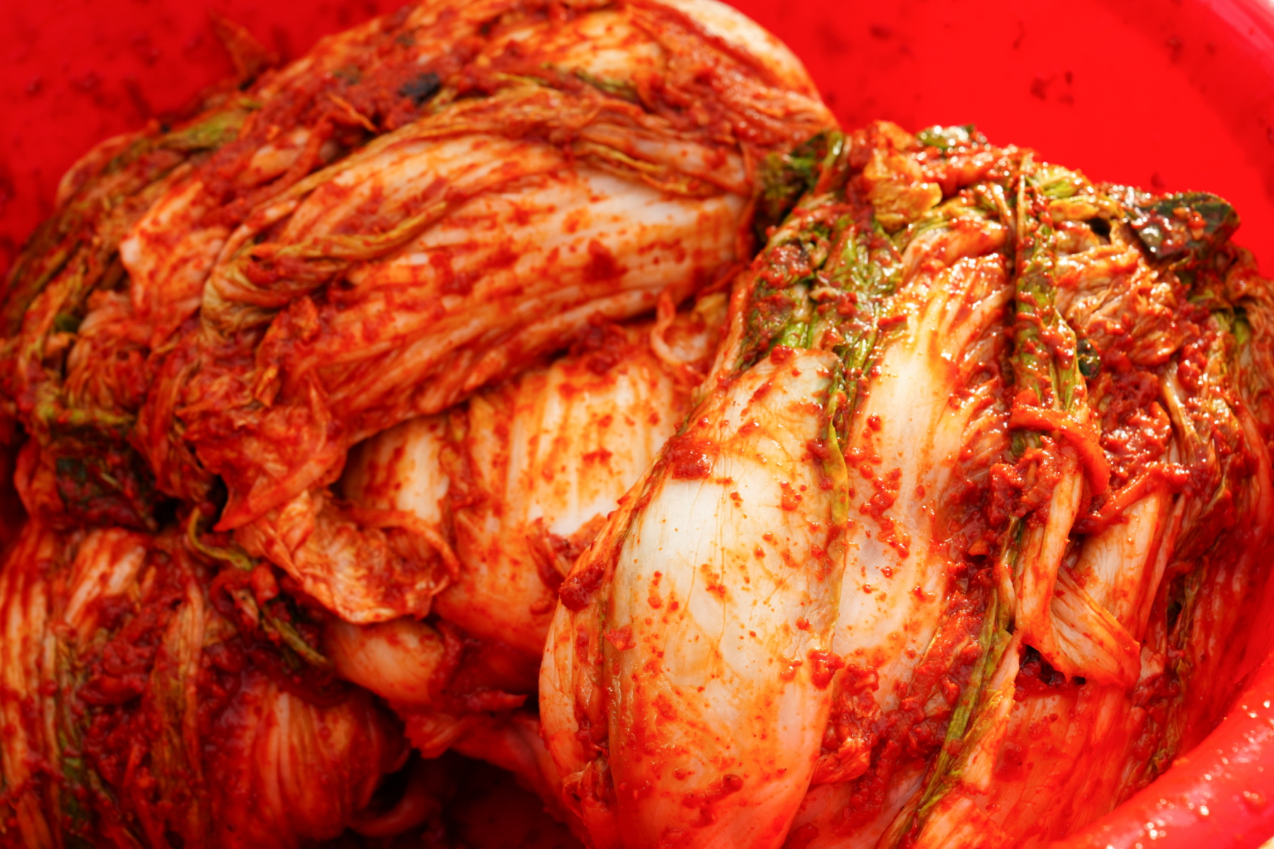2023년 북한이탈주민과 함께하는 김장나누기