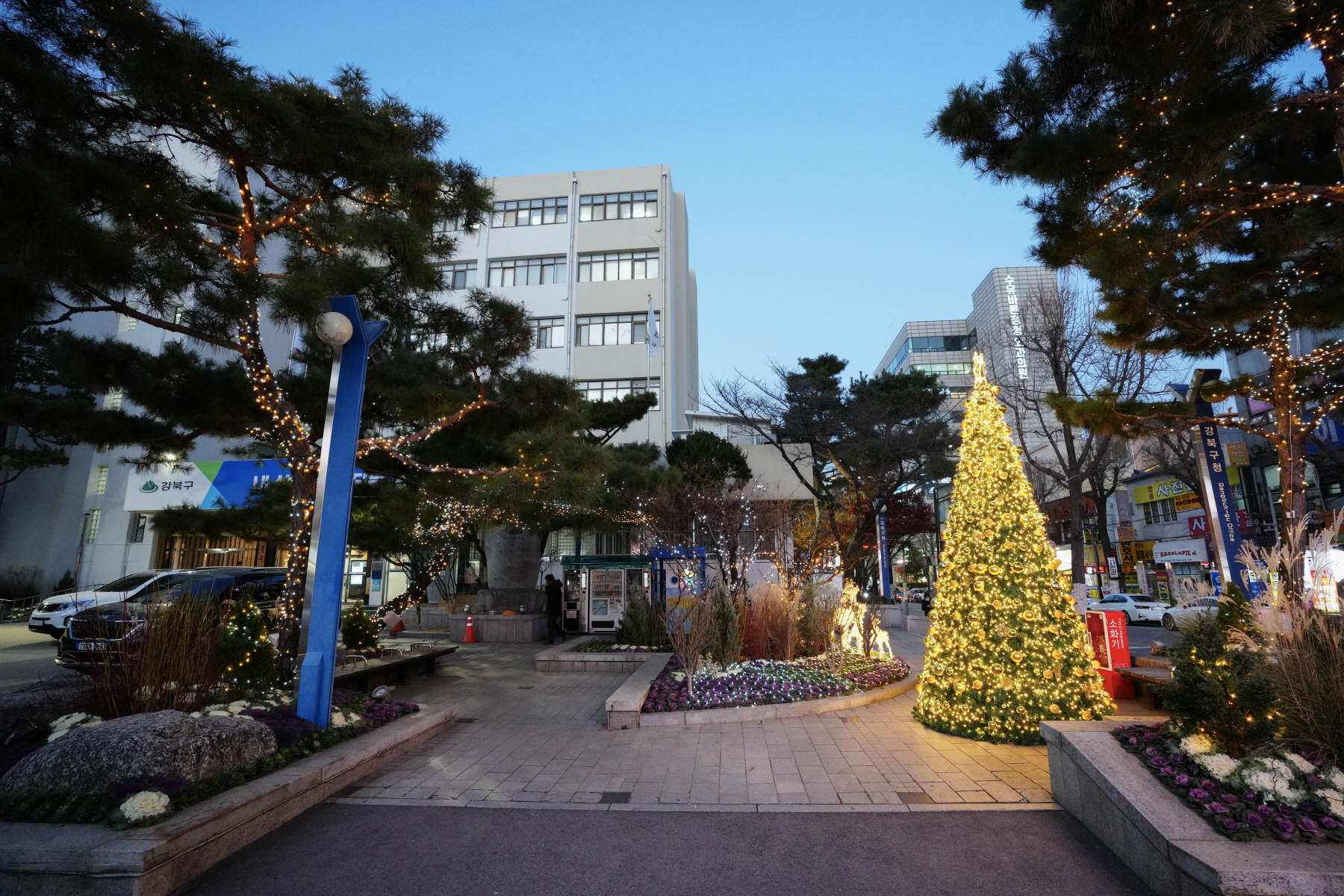 강북구청 성탄트리 점등식 