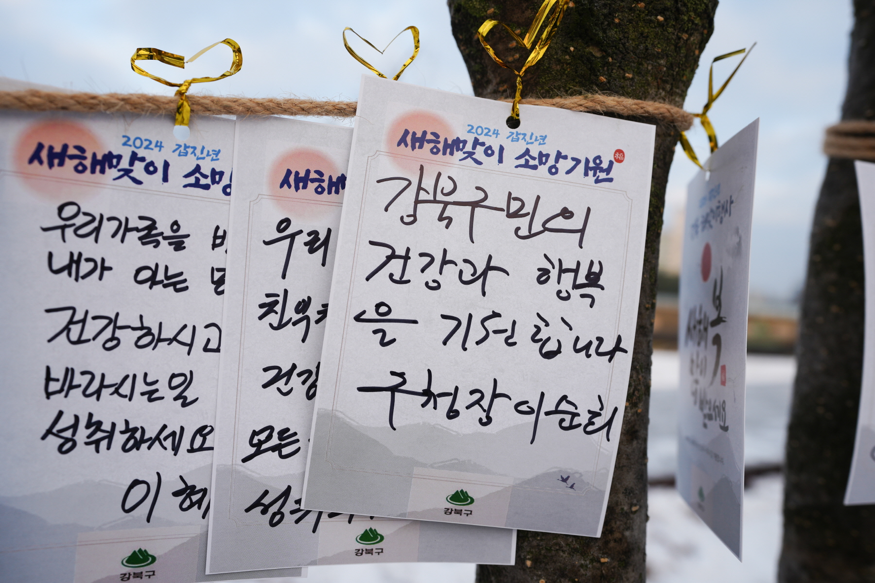 2024 갑진년 해맞이 행사 