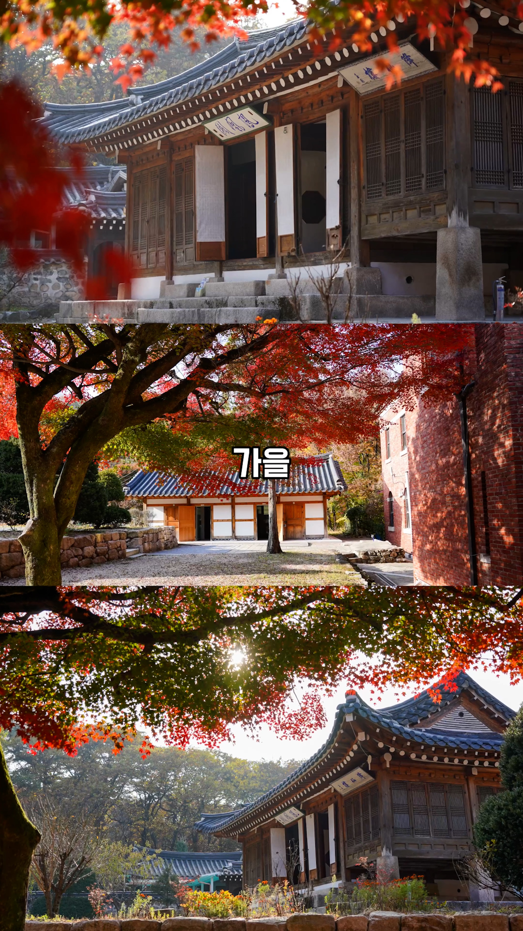 작품사진