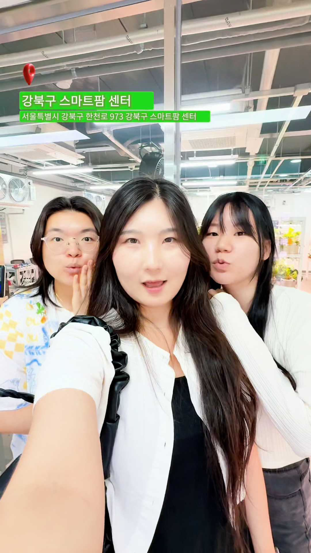 작품사진